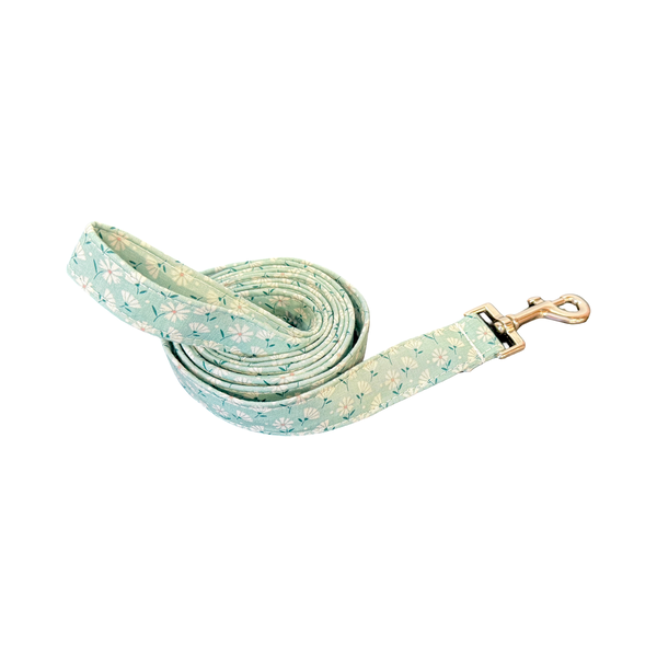 Susanna Leash