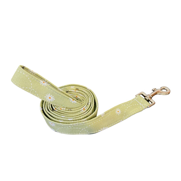Florence Leash