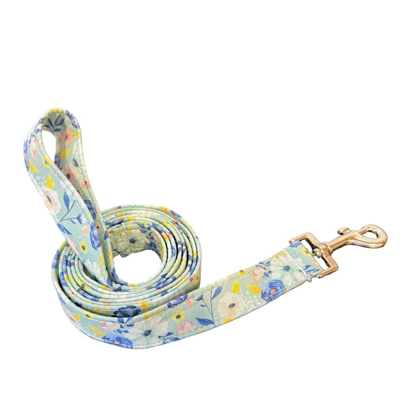 Truly Leash