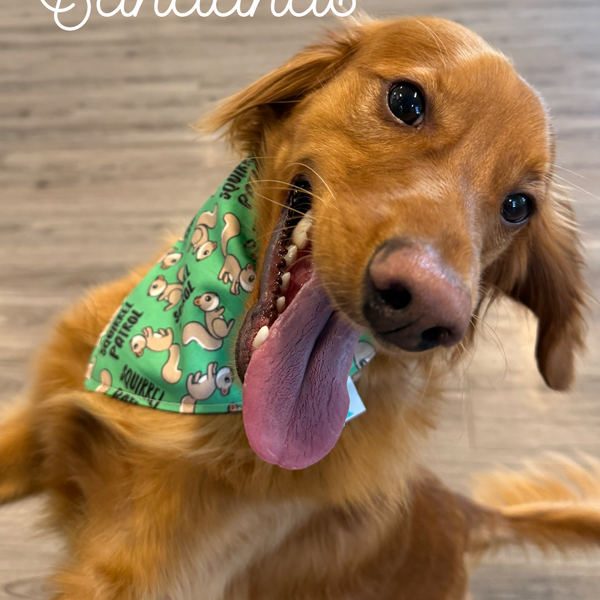 Scrunchie Pet Bandanas (LIMITED EDITION)