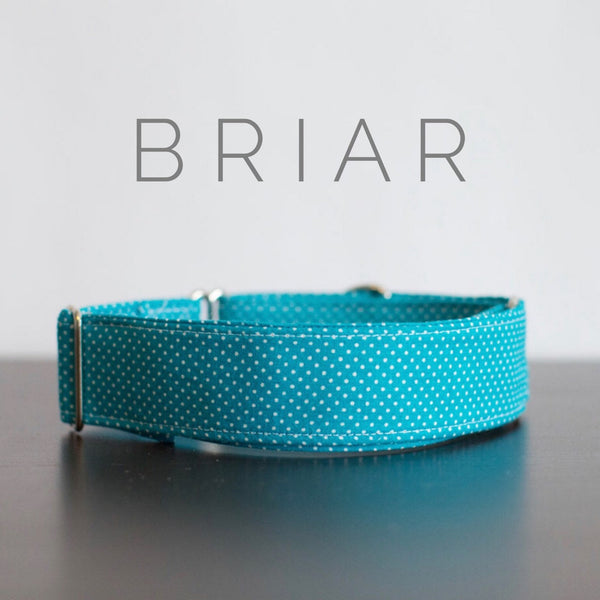 Briar