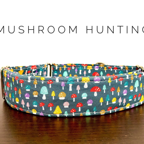 Mushroom Hunting