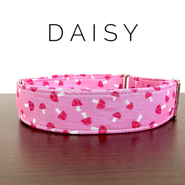 Daisy