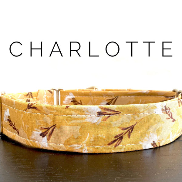Charlotte
