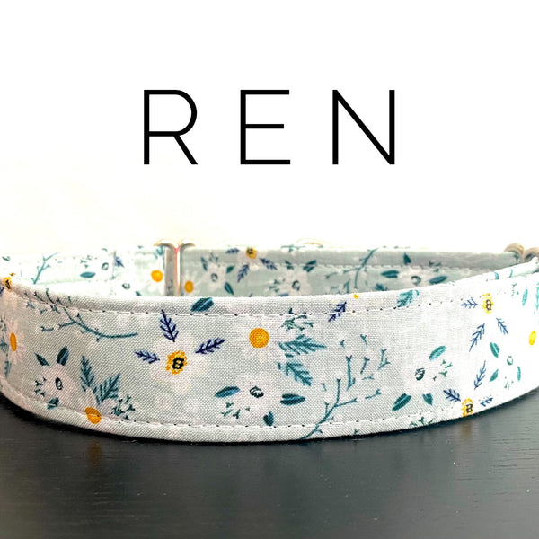 Ren