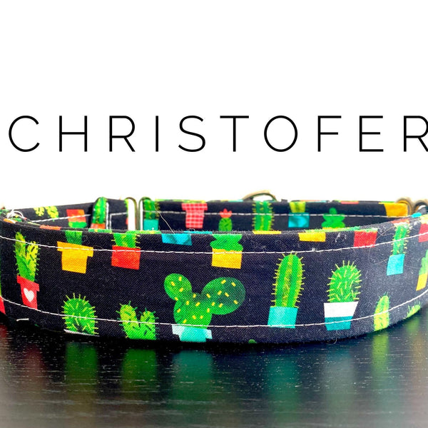 Christofer