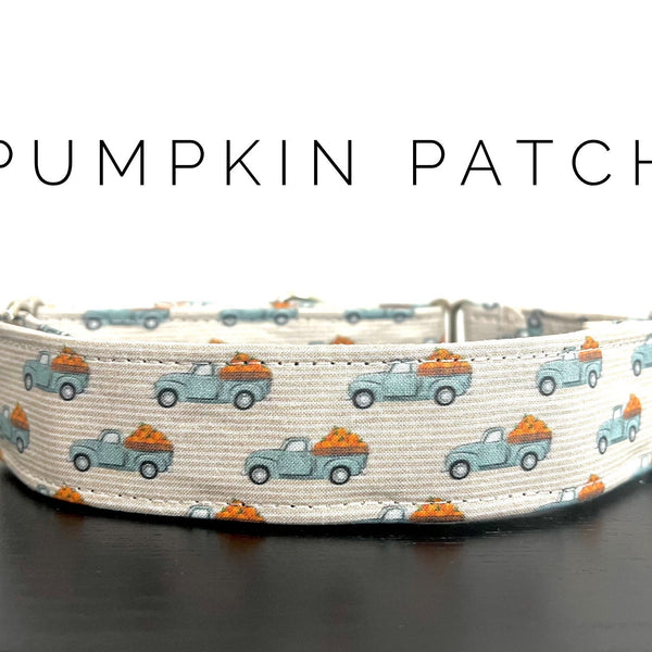 Pumpkin Patch
