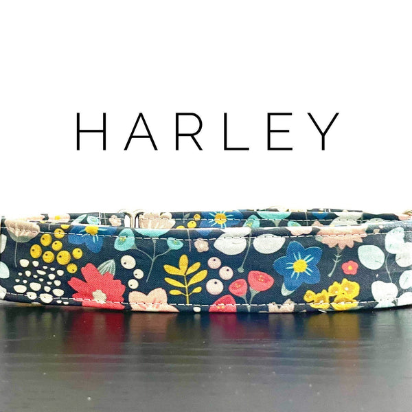 Harley