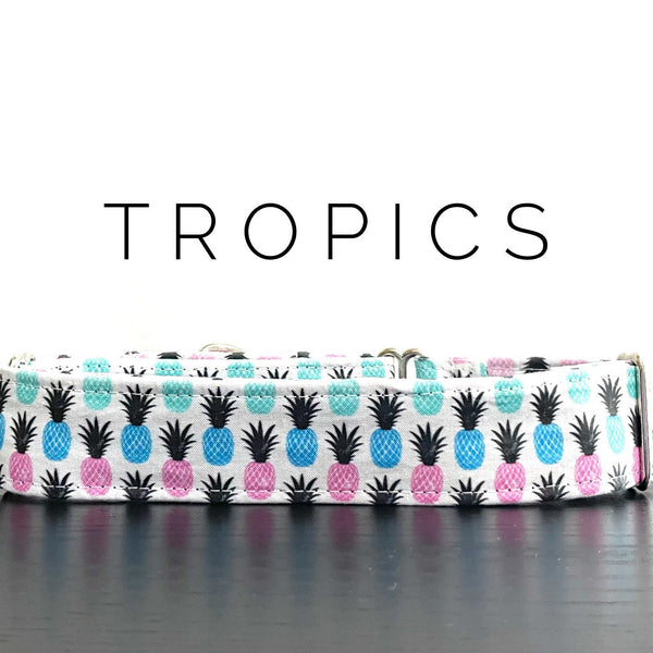 Tropics