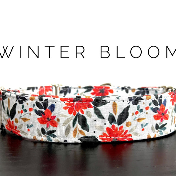 Winter Bloom